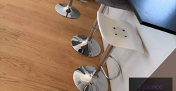 LAROUSSE | ANNONCIADE | 4 ROOMS