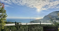 JARDIN EXOTIQUE | PLEIN SUD | 3/4 ROOM