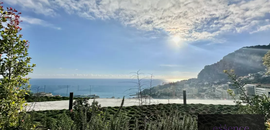 JARDIN EXOTIQUE | PLEIN SUD | 3/4 ROOM