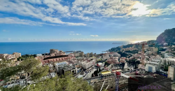 JARDIN EXOTIQUE | PLEIN SUD | 3/4 ROOM