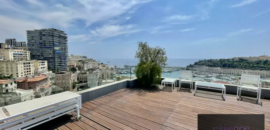 Magnificent Triplex Penthouse with Views of Port Hercules
