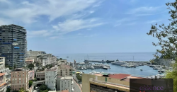 Magnificent Triplex Penthouse with Views of Port Hercules