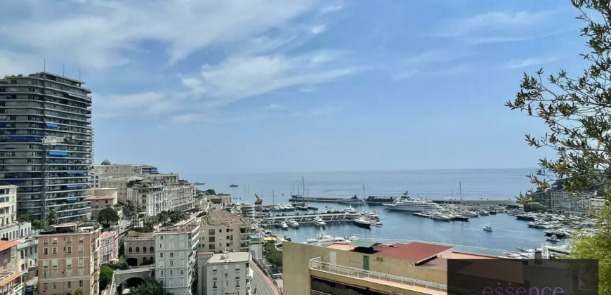 Magnificent Triplex Penthouse with Views of Port Hercules