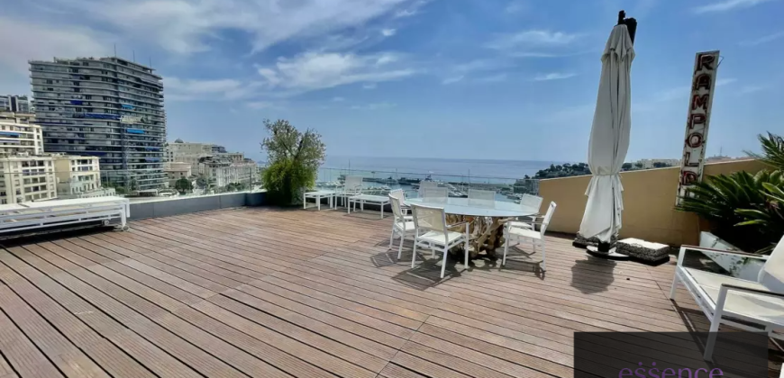 Magnificent Triplex Penthouse with Views of Port Hercules